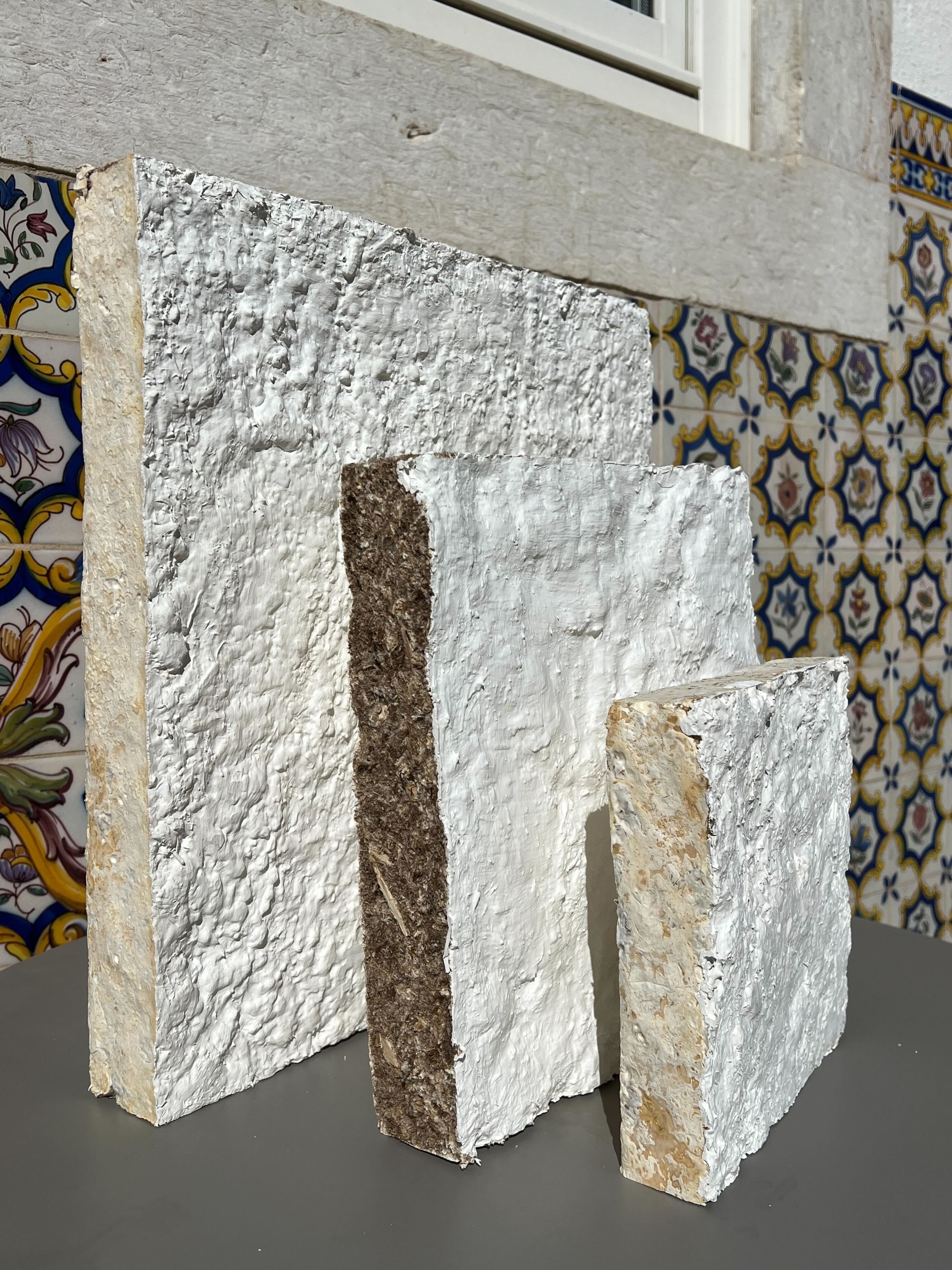 Mykor is producing bio-based Insulation panels by combining mycelium and waste materials
